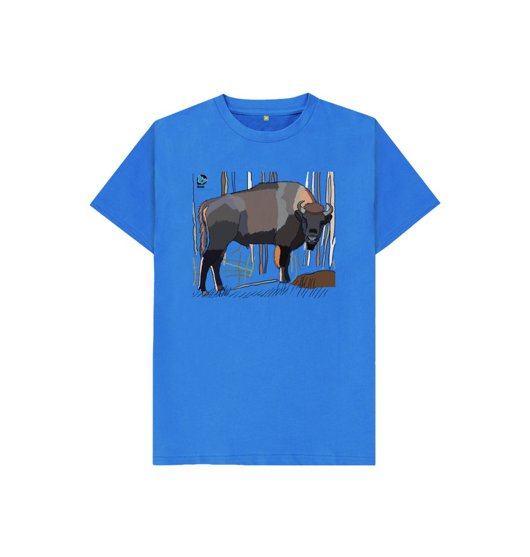 Bright Blue Bison T-Shirt Competition | Over 15's Category | Children