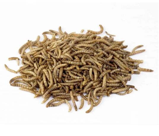 Dried Mealworms 250g