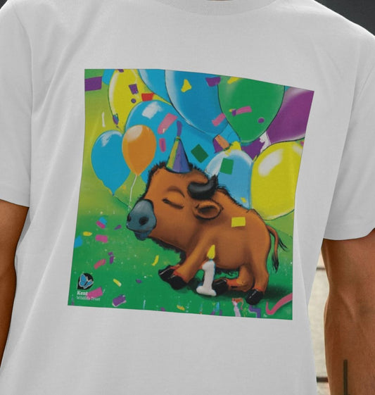 Bison T-Shirt Competition | 11-15 Years Category | Unisex