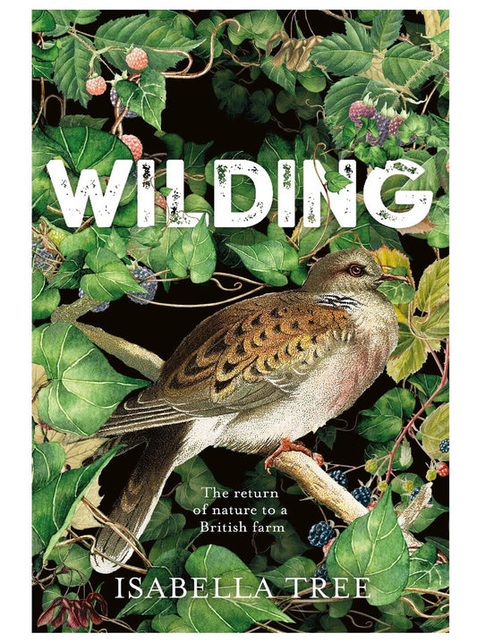 Wilding Book by Isabella Tree